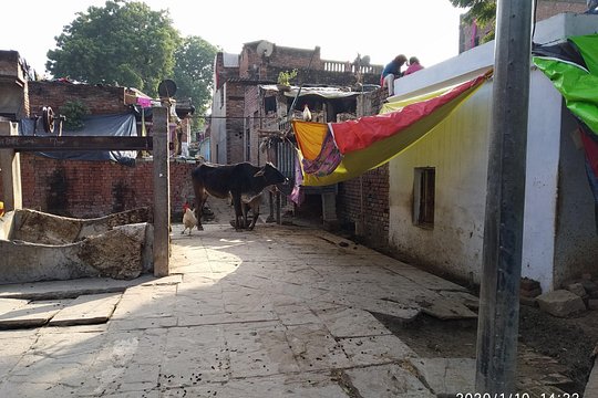 Tour image 7